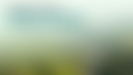 NEQSOL Holding and GILTEX announced as COP29 partners