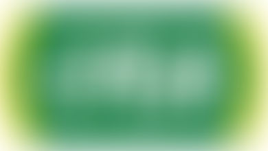 OBA supermarket chain participated in the Career Fair