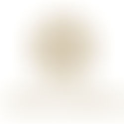 In Shamakhi, there was an inspection of businesses established within the framework of the Self-employment program