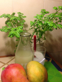 12231689_10206227278935628_295079930_n