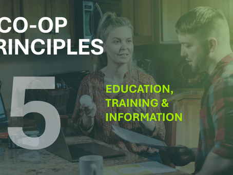 Decorative illustration of a woman holding a light bulb and talking with a man about energy efficiency. The text is displayed over the image and reads: “7 Co-op Principles; Education, Training, and Information”