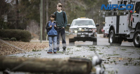 Steer Clear of Damaged or Downed Power Lines After a Storm