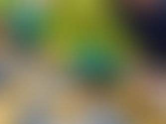 Photo of a person wearing gloves and cleaning out a gutter on a roof.