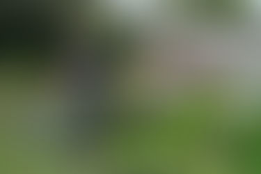 Know What's Below: Steps for Safe Digging