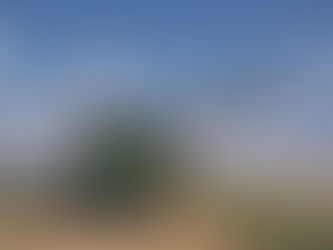 Photo of a green combine near powerlines.