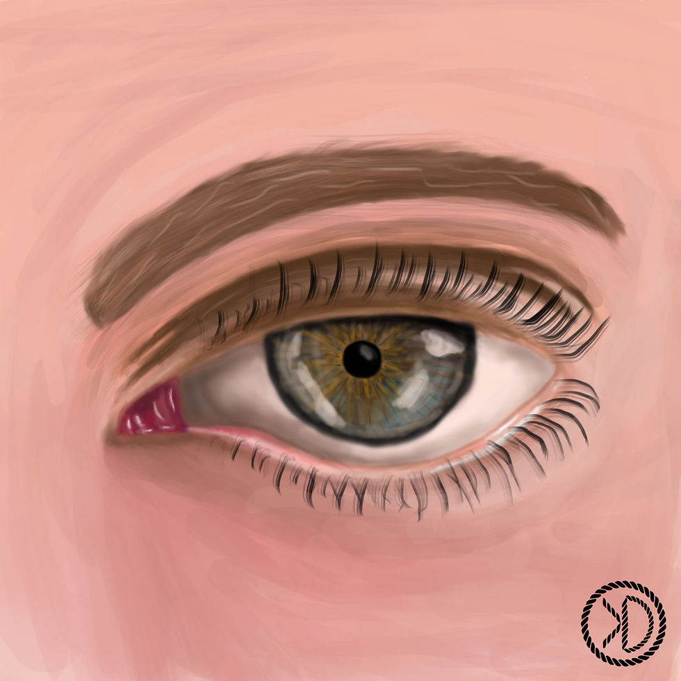 Oog
