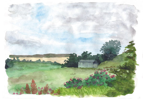Watercolour painting of a field, a metal barn in the distance