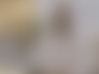 ორიენტ ლოჯიკისა და თიბისის წარმატებული თანამშრომლობა