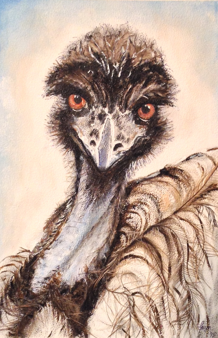 Angry Widgee