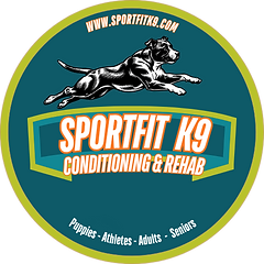 Draft of new Logo April 2026.png