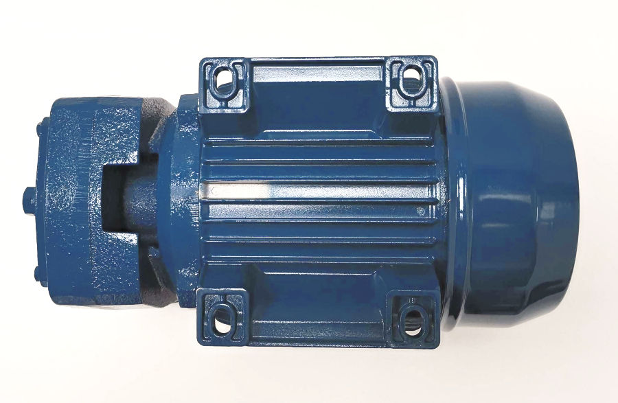 Miniatyrbild: Foras water pump PC100 Liquid-ring Electric Pump centrifugal pump Pentax_diesel_OIL_PUMPS Foras Pedrollo DAB Grundfod