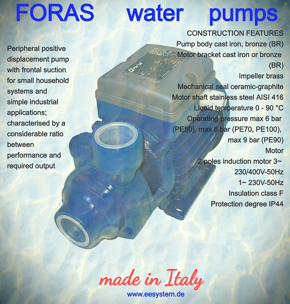 Thumbnail: Foras peripheral positive displacement pump PE100 50Hz Construction features