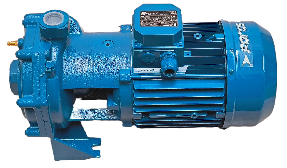 Miniaturbild: KB 750 T FORAS_Water_Pump PENTAX_Parts Pedrollo KSB GRUNDFOS Calpeda SAER Panelli_MARLY