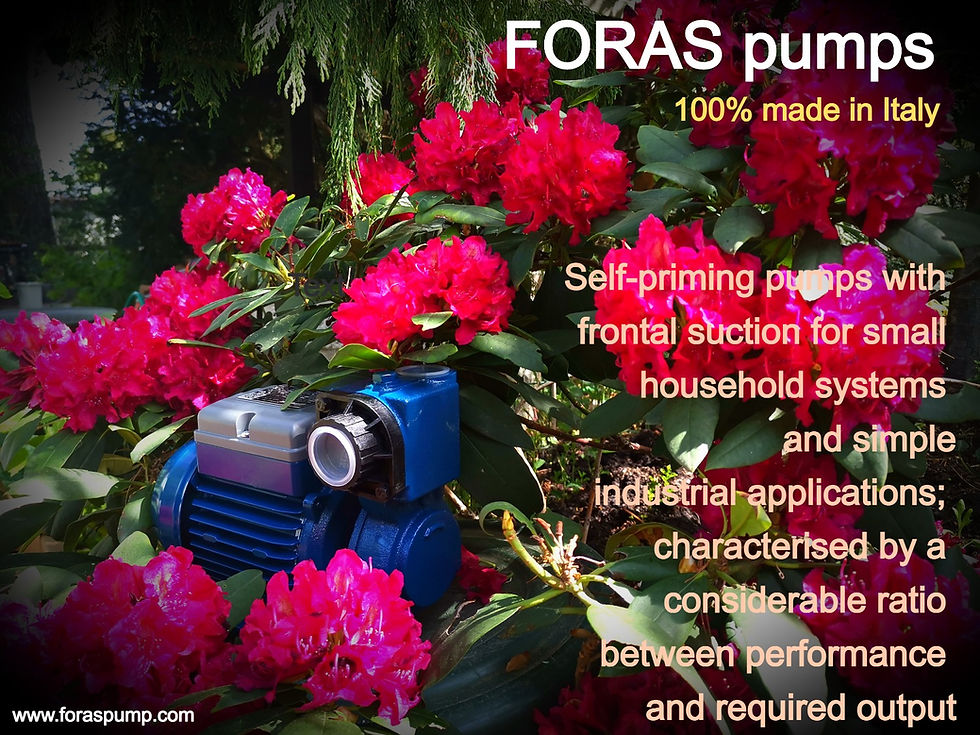 Thumbnail: Foras peripheral self-priming pumps PE100AT and red flower
