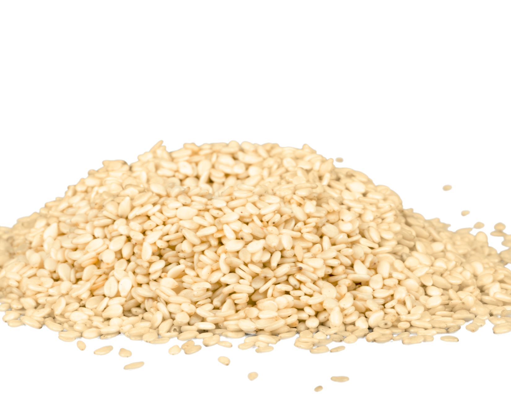 Sesame Seeds