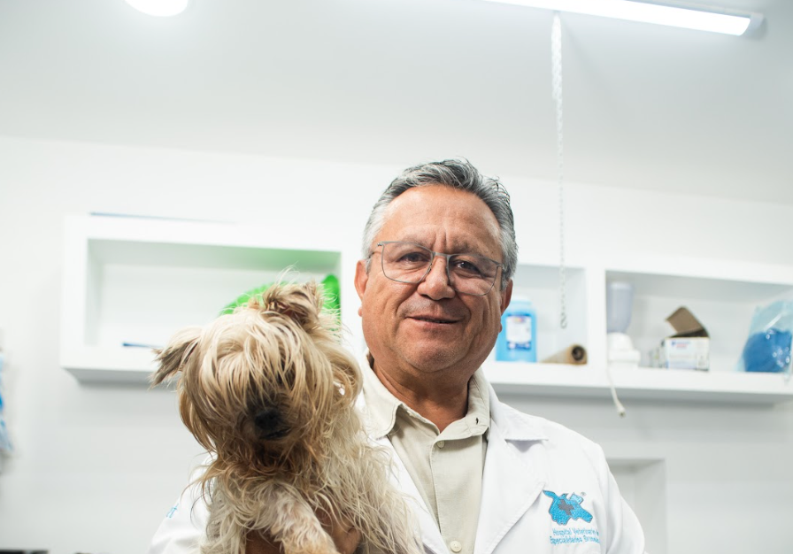 Dr Gabriel Ramirez sosteniendo un perro en Hospital Veterinario Bruselas.