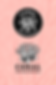 Studiovandoodle_Coral_Farbe_Zeichenfläche 1_Zeichenfläche 1.png