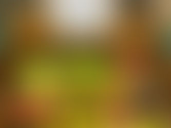 James Ellson's talk on ‘The Trees & The Bees’ (8th September 2025)