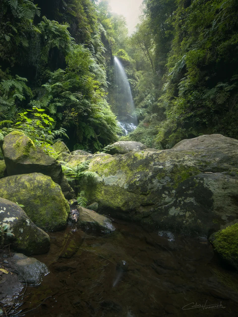 Cascada de Los Tilos, La Palma, Canary Islands