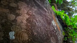 Prehistory and History of the Canary Islands