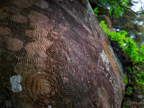 Prehistory and History of the Canary Islands