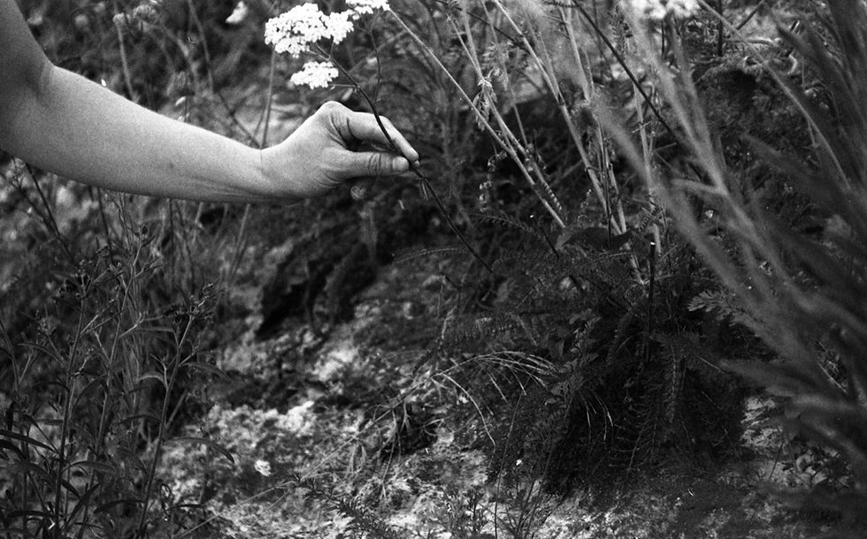 #108 // Botanisches Fotolabor