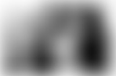 mini exposition à la médiathèque