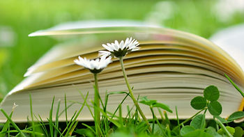 Coaching de vie et professionnel, Lyon, Les livres de développement personnel que je recommande
