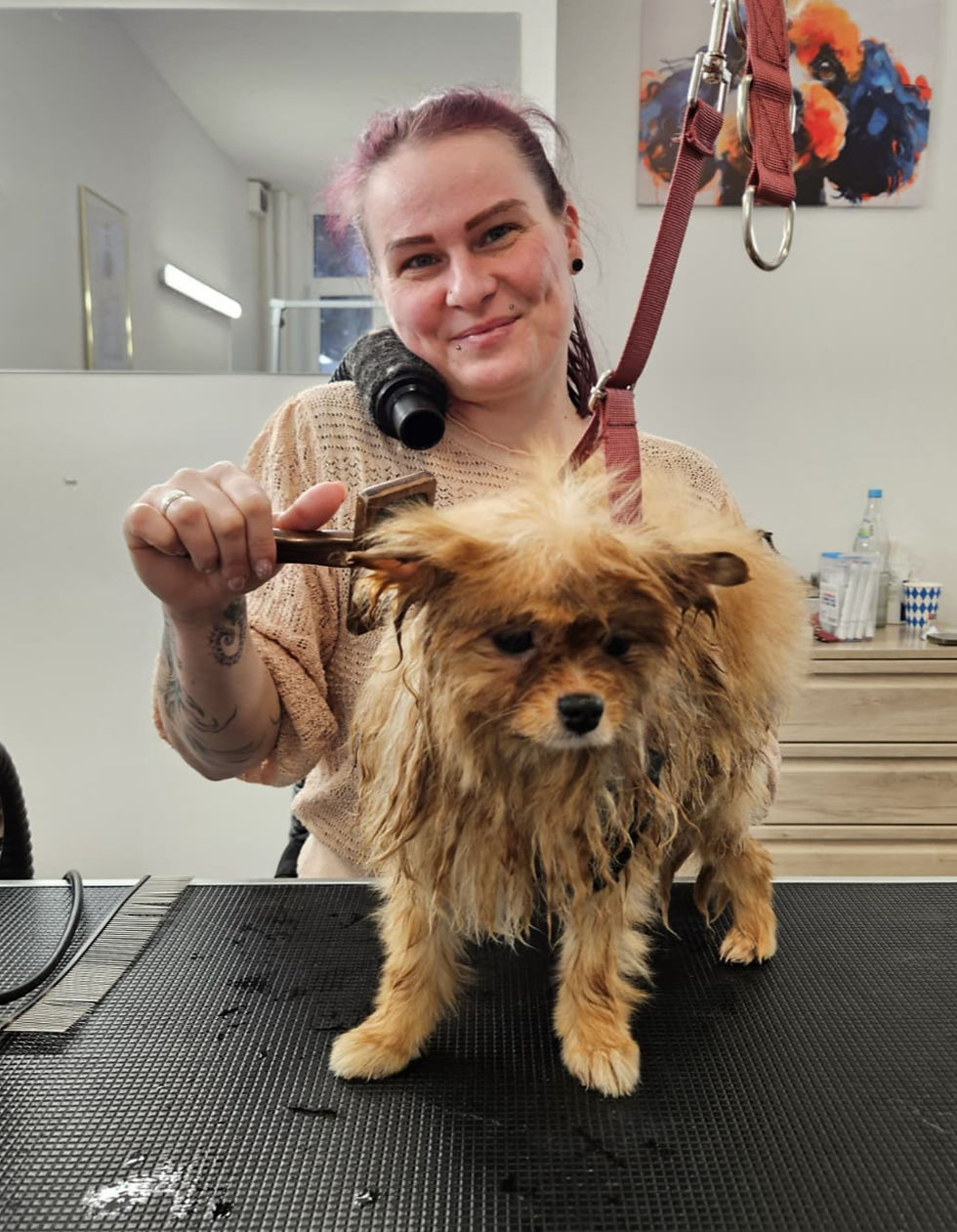 17d269a1-3f36-4acf-ad0f-6eda74146c88_edited_edited