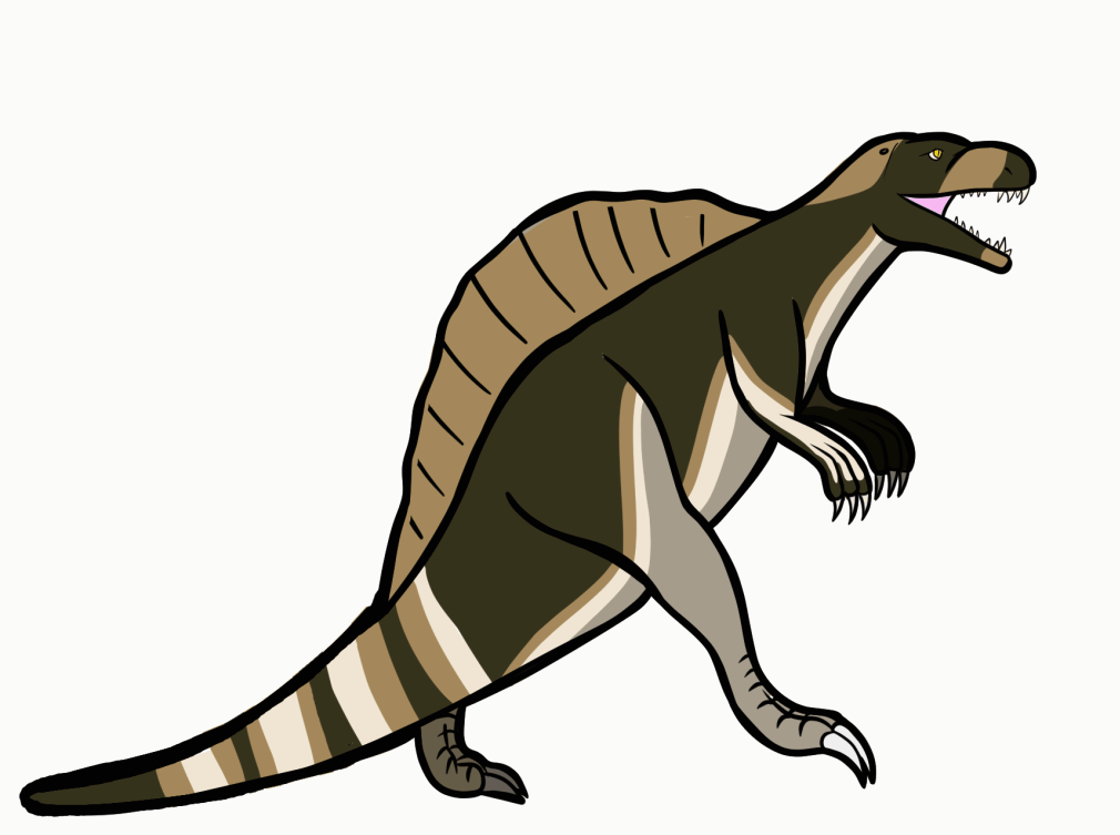 1st animation_Colored high resolution.gif