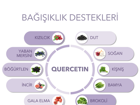 BAĞIŞIKLIK DESTEKLERİ 6 - QUERCETIN
