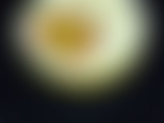 Ladies pornstar night