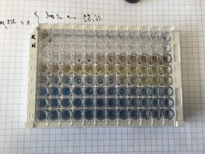 Blue color: Indicator displacement assays based on Cerium for the detection of phosphates