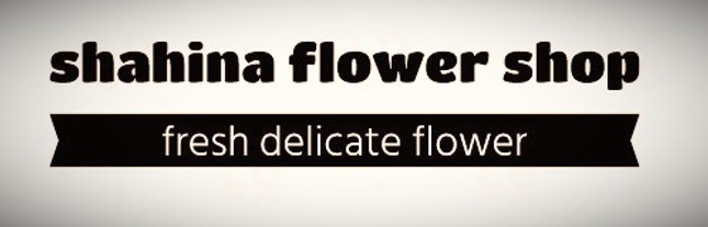 logo shahina_edited.jpg