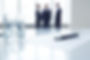 Professional Translation Services