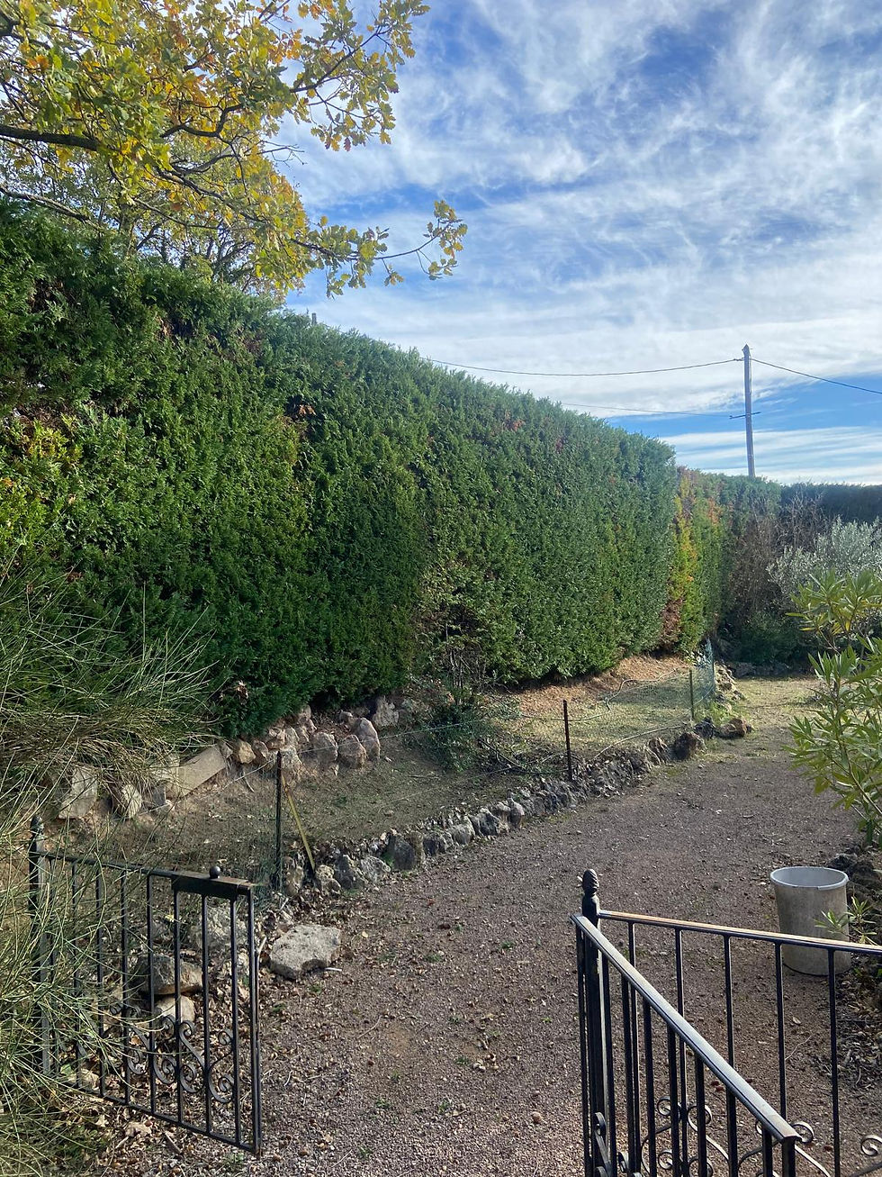 WhatsApp Image 2025-11-16 at 21.45.17