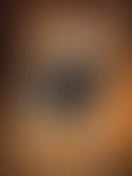 A close-up of a horse's eye