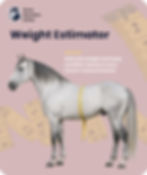 Horse weight estimator showing a horse with measuring tape and body measurement graphics