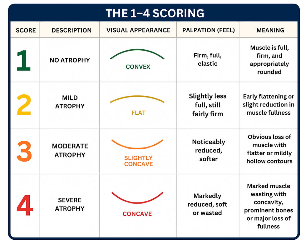 Muscle Atrophy Scoring System description of scores