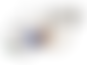 Anatomy of the equine teeth