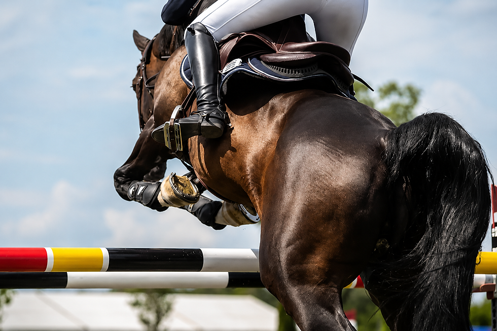 A horse jumping over an obstacle