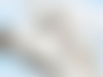 A white horse that is spooked and scared