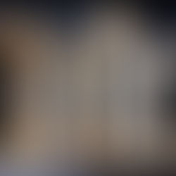 Cannon bones and splint bones with different types of pathology