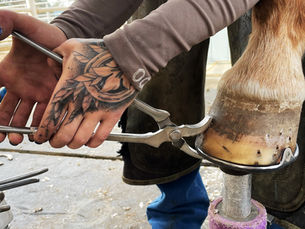 Farrier clinching nails