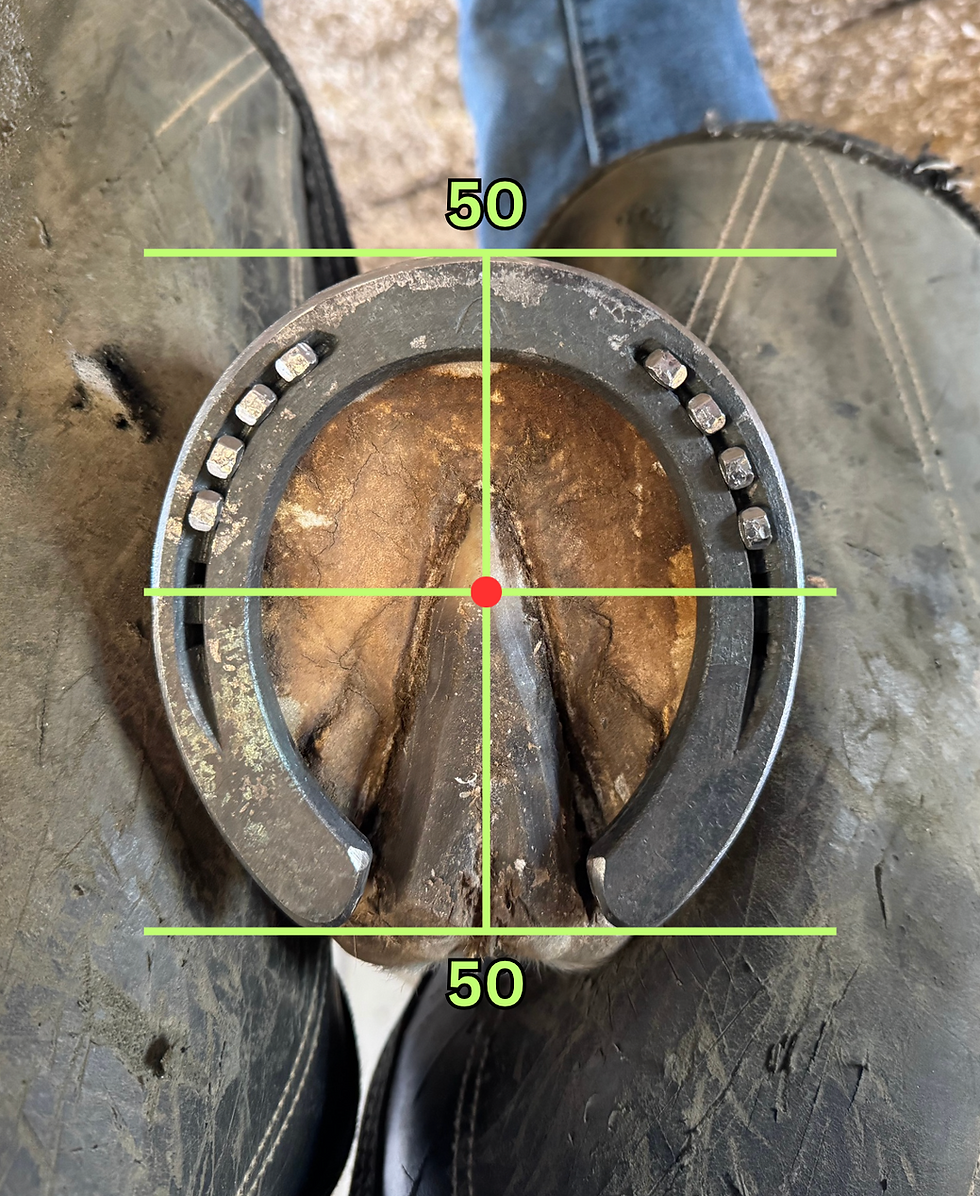 Horse hoof and shoe measurements. Left: Side view with angles and dimensions in red. Right: Bottom view with measurements. Background: Wooden texture.