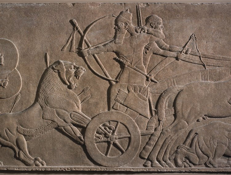 Horse Education Online - Article and Resources