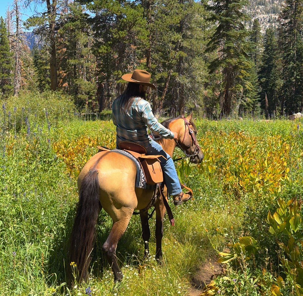 Andalusian horse and cowboy trail riding in the wilderness