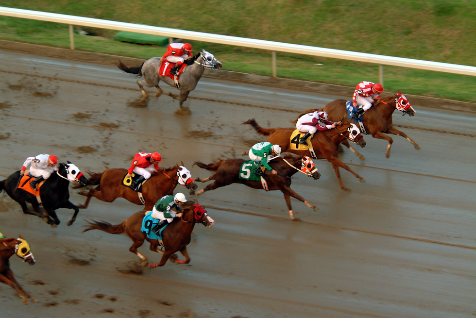 Thoroughbred horses racing on muddy footing