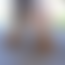 Two horse's hooves seen from the front, with the equine fetlock joint highlighted