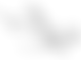 The Equine Hip Joint - An Advanced Deep Dive